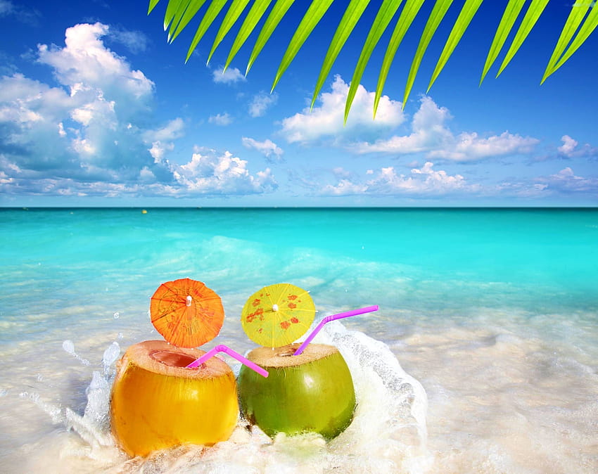 Fruit Water Snacks Sea Summer Palm Beach, blue summer HD wallpaper