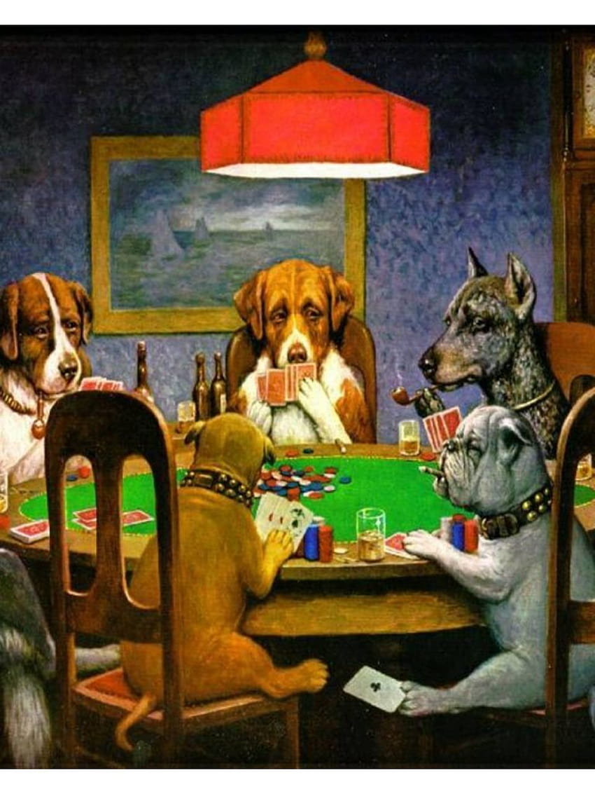 HD dogs playing poker wallpapers  Peakpx
