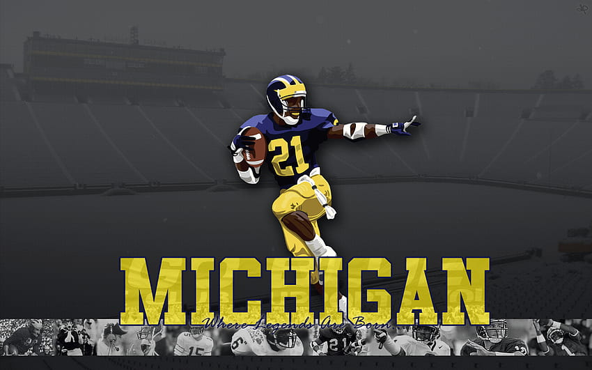 Michigan Wolverines Football Group, university of michigan HD wallpaper
