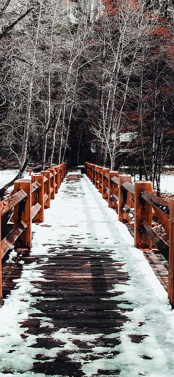 Bridge snow winter trees spring HD wallpapers | Pxfuel