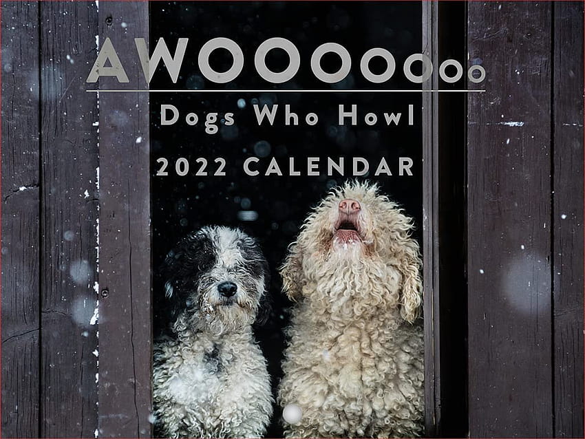 Calendario de pared 2022 de Awooo Dogs Who Howl, calendario grande de 18 meses, calendario mensual de papel grueso a todo color, plegado, listo para colgar, agenda fondo de pantalla