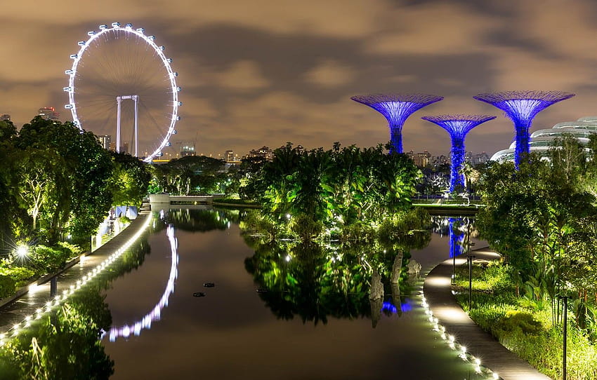 pond, Singapore, Singapore, Gardens by the Bay , section город HD wallpaper