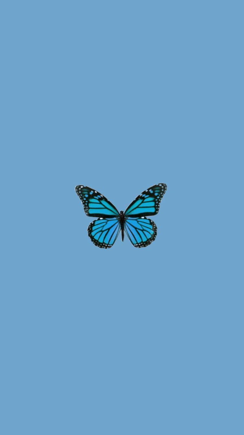 Schmetterling tumblr in, aesthetic butterfly HD phone wallpaper