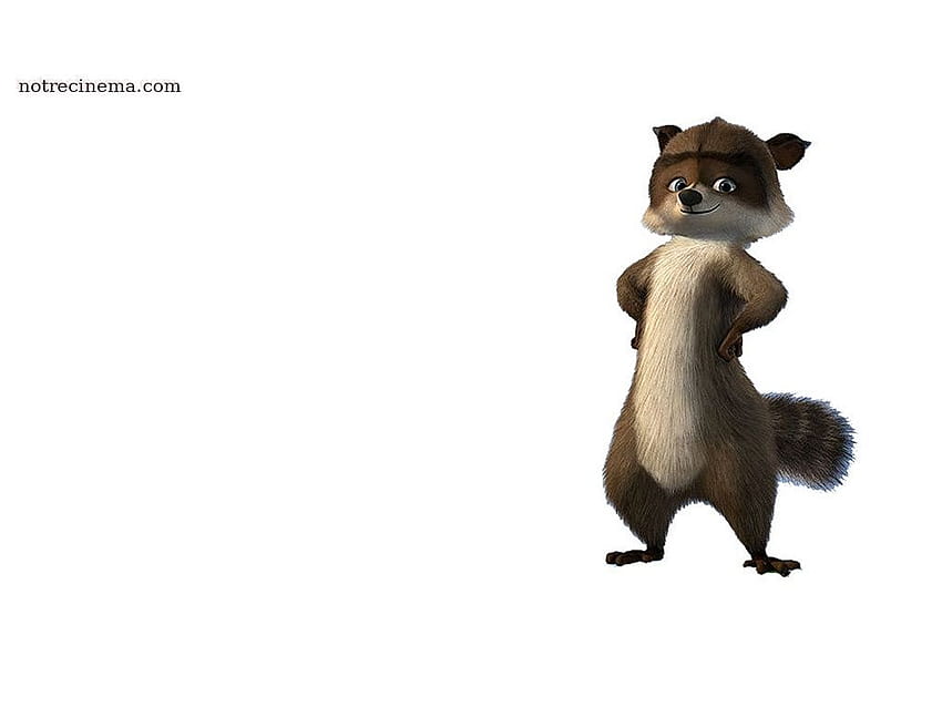 Over the Hedge HD wallpaper
