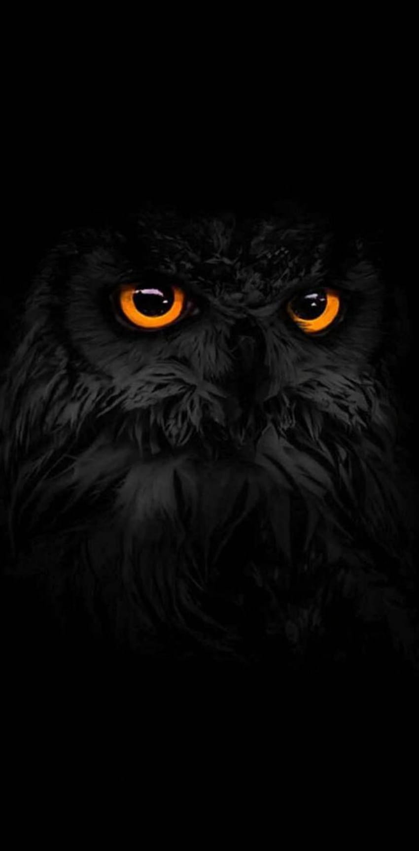 Czarna sowa autorstwa Aegon___, logo sowy Tapeta na telefon HD