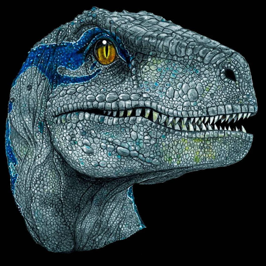 My Blue portrait prints are already available for those, velociraptor blue HD phone wallpaper