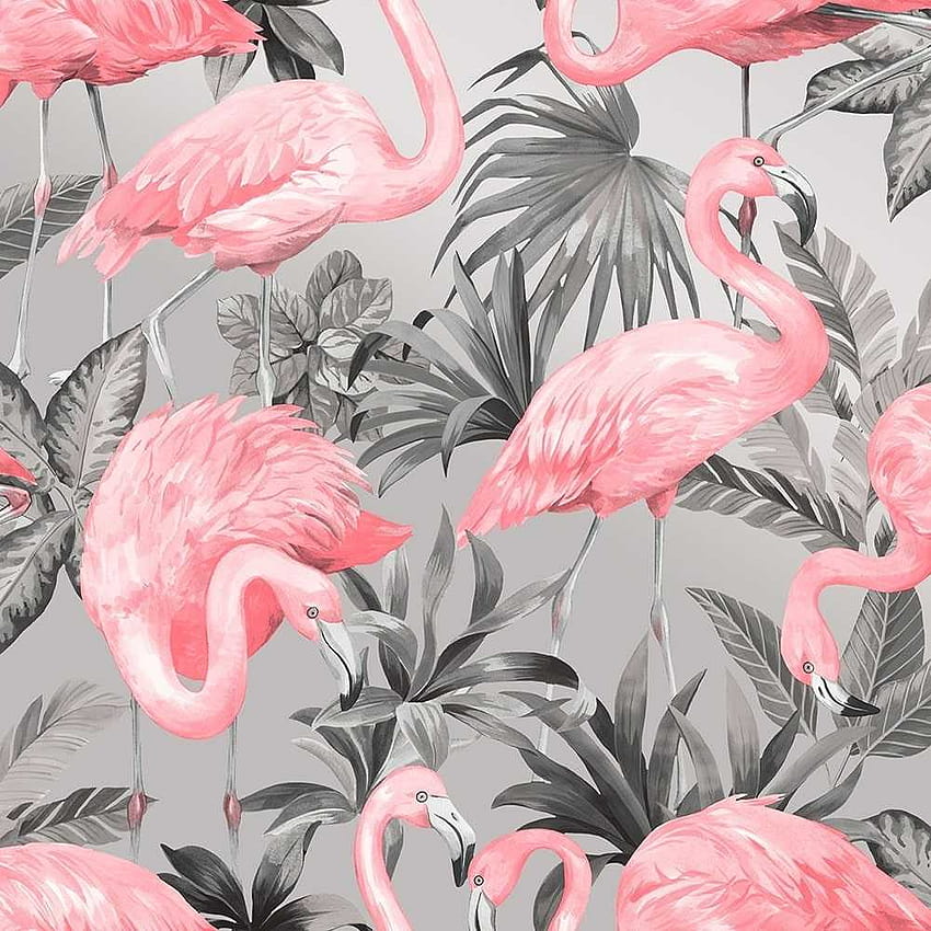 Фламинго, лятна естетична илюстрация HD тапет за телефон