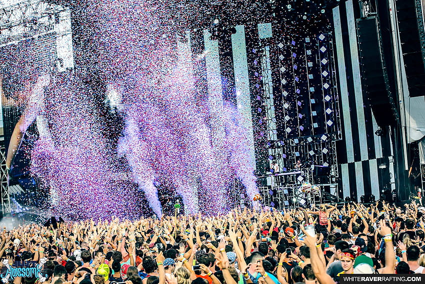 EDM Festival Attendance Dominates All Genres, Total Market Worth ~$20 Billion HD wallpaper