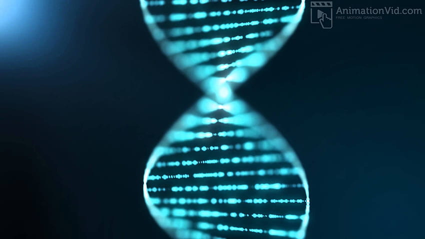 Animasi Latar Belakang Urutan DNA Biru, latar belakang dna Wallpaper HD