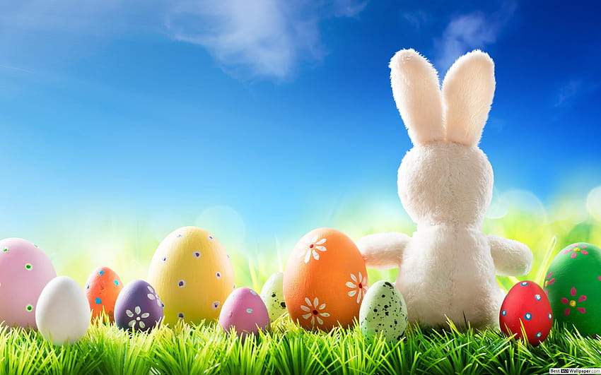 Süßer Osterhase mit bunten Eiern, süßer Hase mit Eiern HD-Hintergrundbild