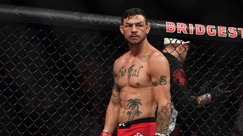 Cub Swanson: Conor McGregor, Ronda Rousey were pampered HD wallpaper