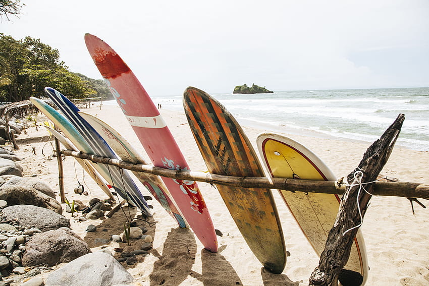 Deska surfingowa, estetyka surfowania Tapeta HD