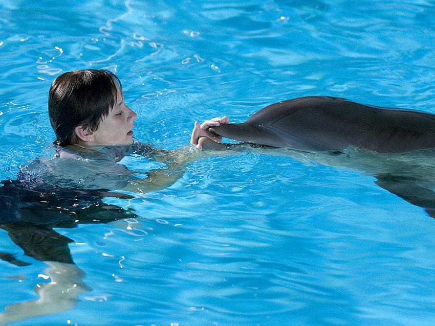 Families can relate to courage in 'Dolphin Tale', dolphin tale movie characters HD wallpaper