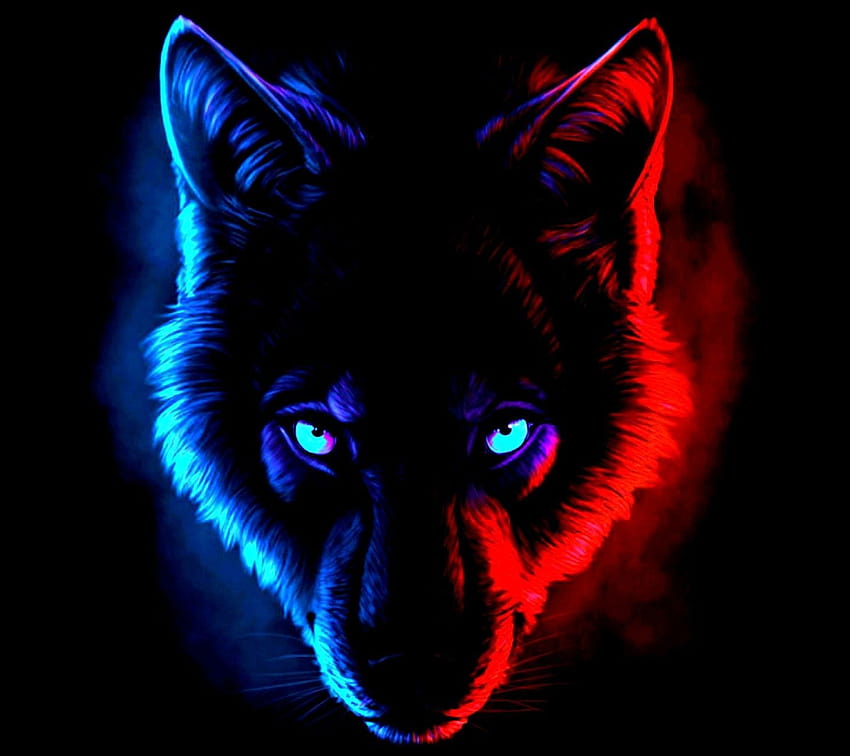 Couleurs de loup noir Rouge, anime de loup noir Fond d'écran HD