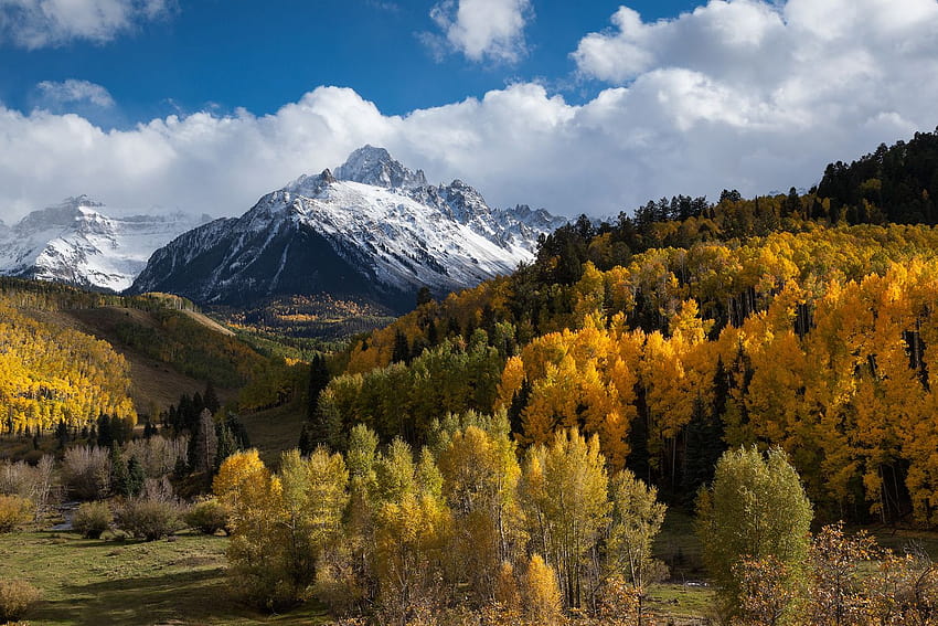 : Autumn In The Aspens, Autumn Aspens Hd Wallpaper 