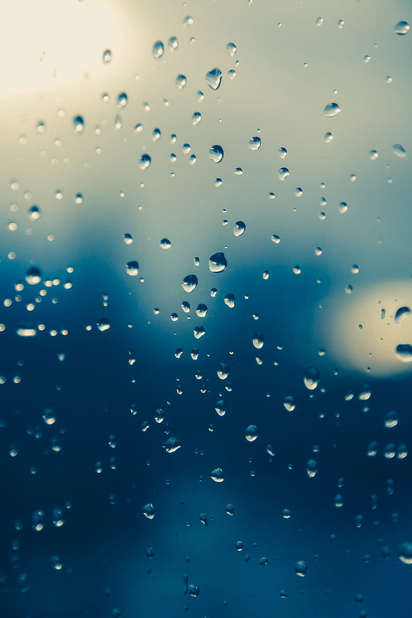 Raindrops, rain droplets HD phone wallpaper