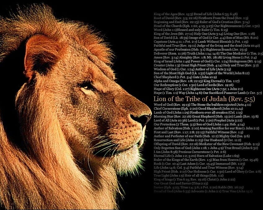 Lion Bible Quotes on QuotesTopics, judah the lion HD wallpaper