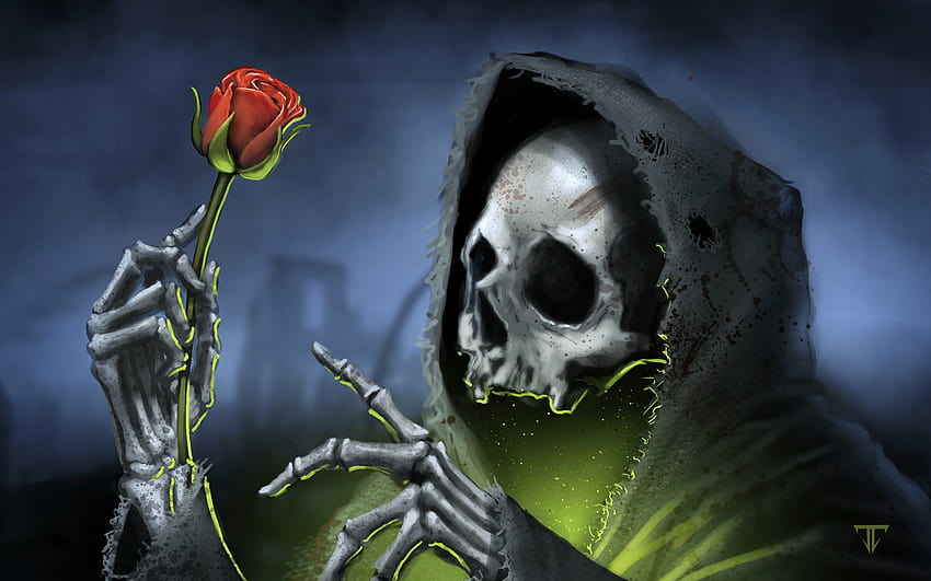 5 Scary Skeleton, funny skeleton HD wallpaper