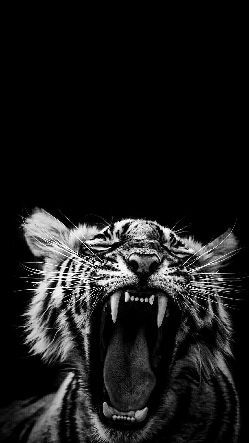 roaring tiger black and white wallpaper