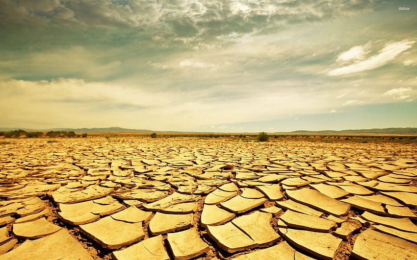 Drought land HD wallpaper