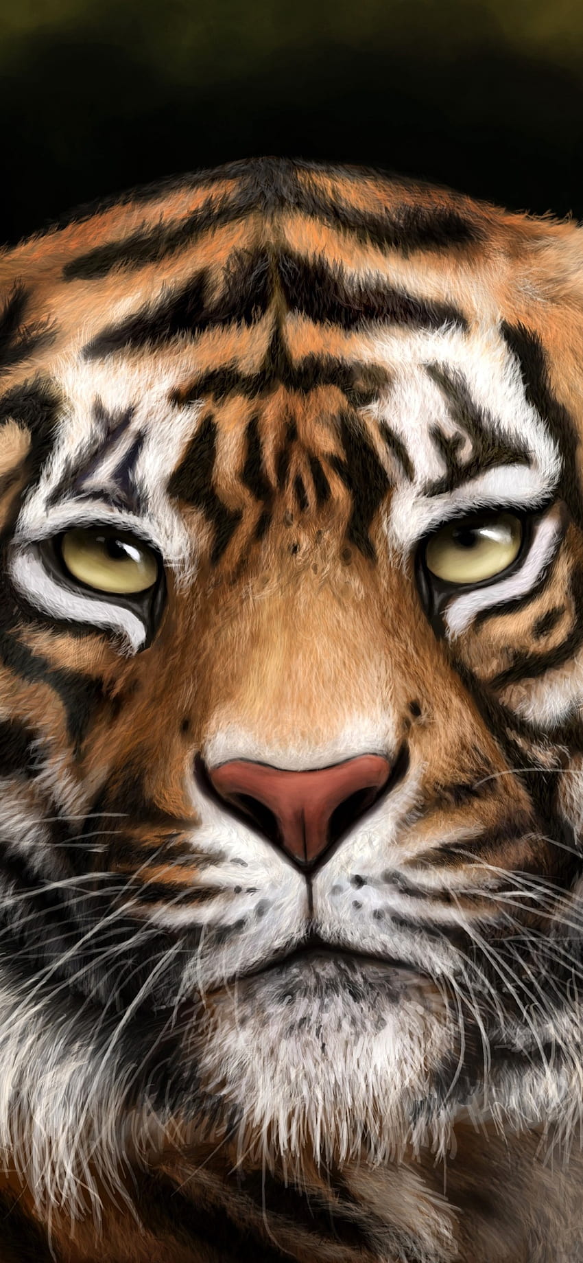 Tiger Beautiful For Iphone HD phone wallpaper | Pxfuel