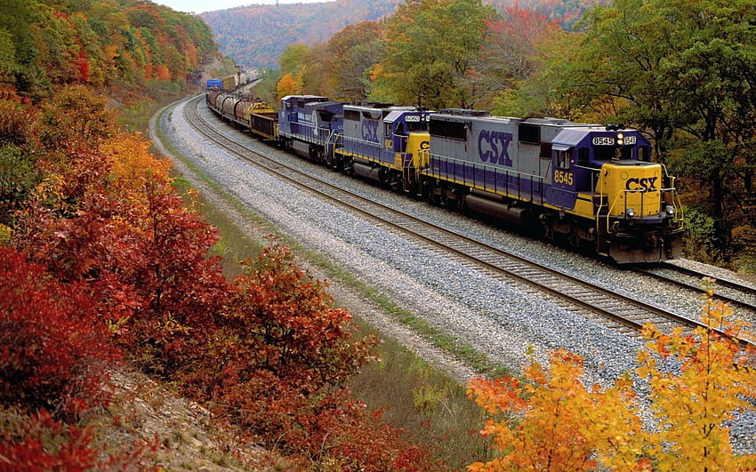 autumn, season , Trains, Railroad, Tracks, Vehicles / and Mobile Backgrounds, railroad crossing autumn HD wallpaper