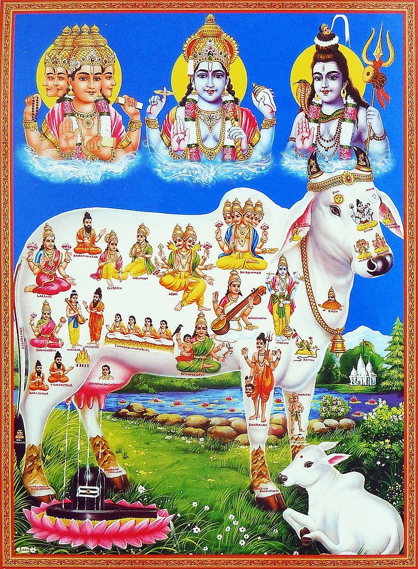Pin en dioses hindúes, kamadhenu fondo de pantalla del teléfono