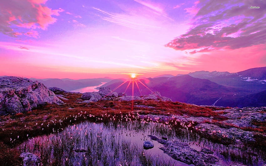 Lila Sonnenaufgang über den Bergen, lila Berg HD-Hintergrundbild
