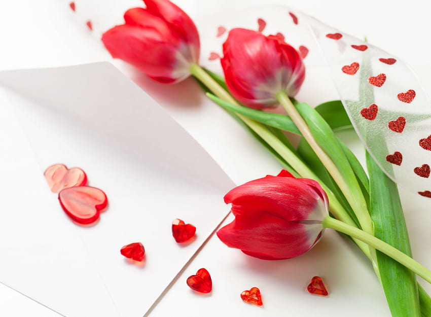 Tulip, spring, flower, red, heart, heart flower HD wallpaper