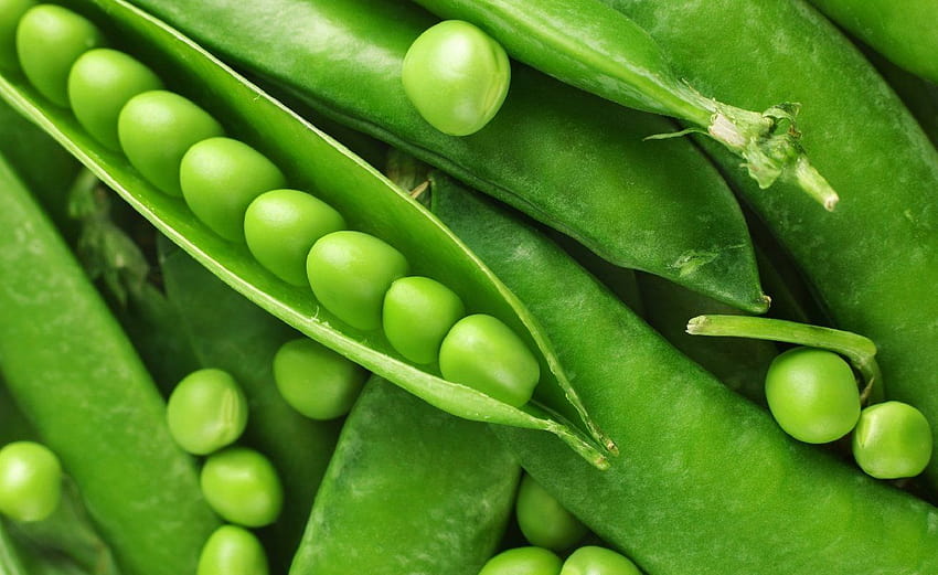 Fresh Green Peas Backgrounds HD wallpaper