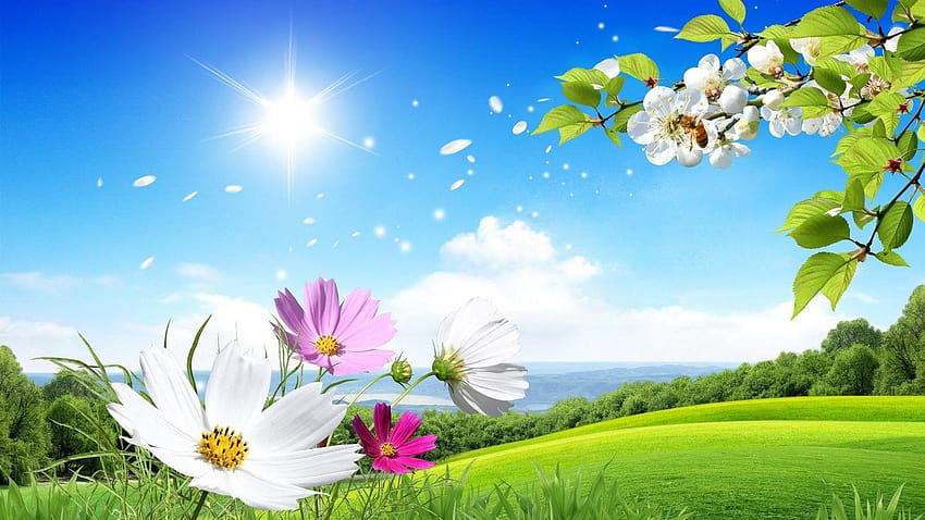 fleurs pour les amoureux des fleurs.: Fleurs paysages naturels Fond d'écran HD