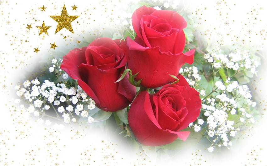 Merry Christmas with beautiful roses and shiny stars [1920x1200] for your , Mobile & Tablet HD wallpaper