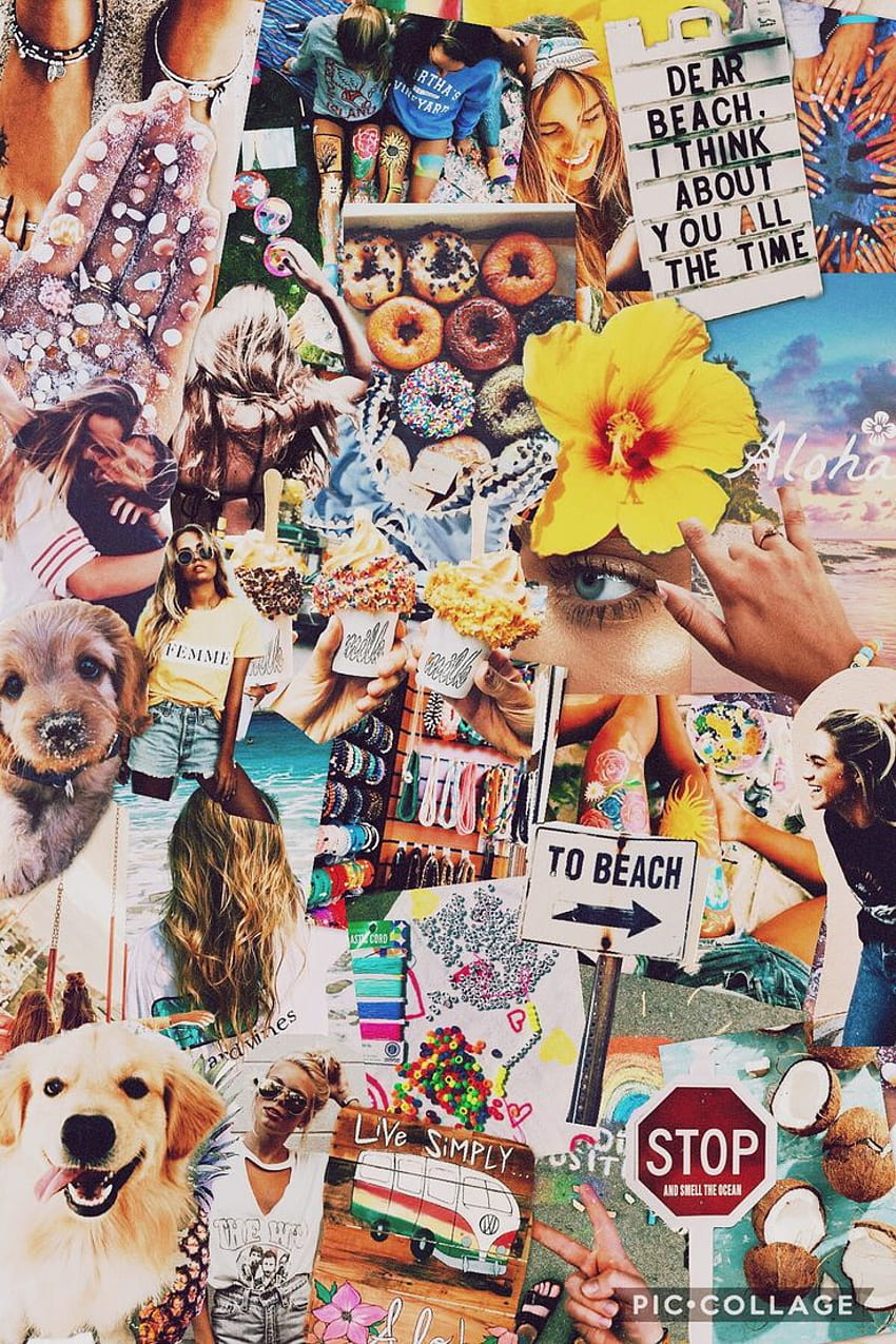 Pinterest aesthetic on dog HD wallpapers | Pxfuel