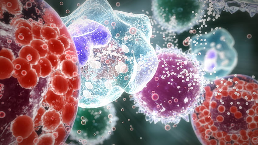 Immunology, immune system HD wallpaper