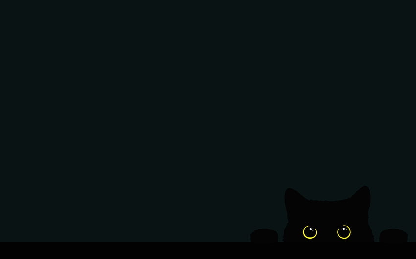 Mon chat à 5h du matin sur le bord du lit [2880x1800] en 2020, cat esthétique pc Fond d'écran HD