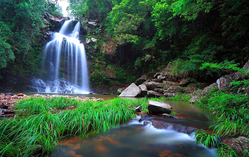 Waterfalls: Forest Rocks Cascades Waterfall Fall Water Leaves Place, forest cascades HD wallpaper