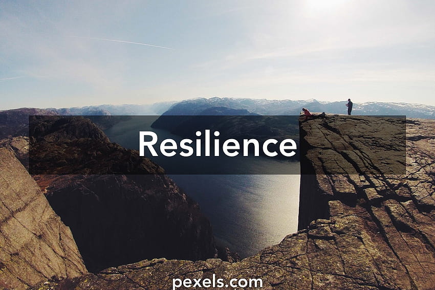 Resilience · Pexels HD wallpaper