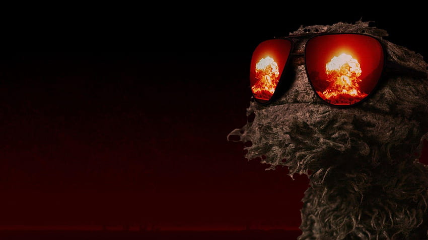 sunglasses, muppet, Oscar the Grouch ::, the muppets HD wallpaper
