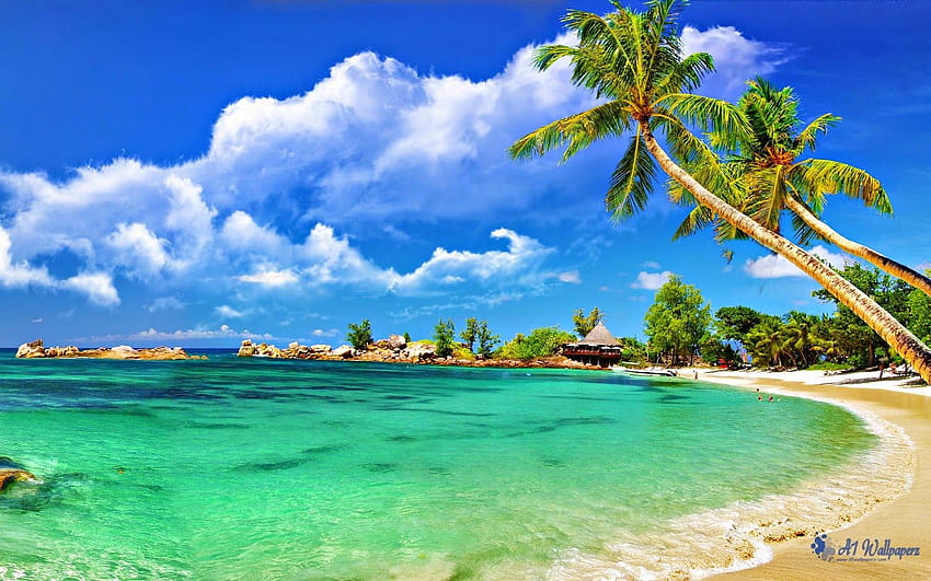 ชายหาดและเกาะที่สวยงามระดับโลก ลักษทวีป วอลล์เปเปอร์ HD
