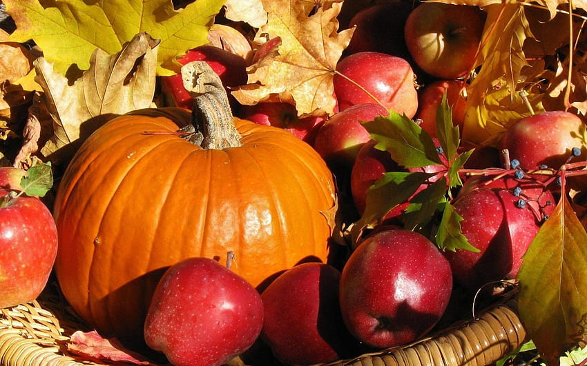 Fall Harvest High Quality, pumpkins and basket HD wallpaper