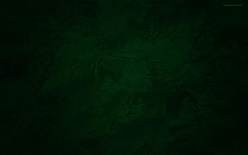 45 HD Green WallpapersBackgrounds For Free Download
