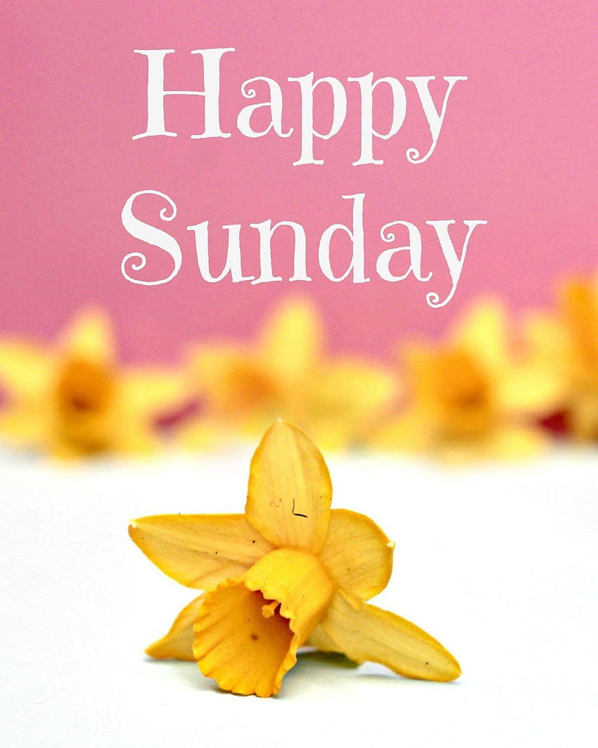 Collection of Over 999 High-Quality Good Morning Happy Sunday HD Images