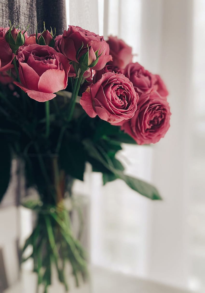 100 Red Roses Bouquet, a bouquet of flowers HD phone wallpaper | Pxfuel