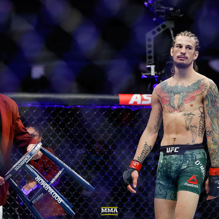 Morning Report: Sean O'Malley criticizes the UFC: 'Why do they have a problem paying someone what they're worth?', sean omalley HD phone wallpaper