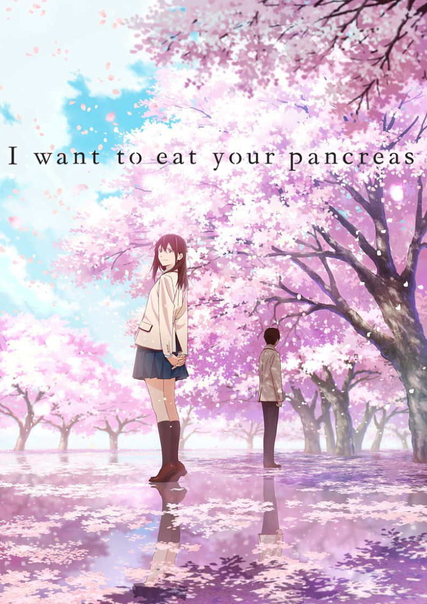 Quiero comerme tu páncreas Anime, quiero comerme tu páncreas iphone fondo de pantalla del teléfono