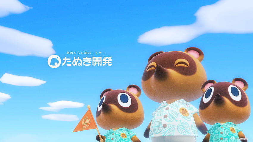 New My Nintendo Japan zawiera grę Animal Crossing: New Horizons, tom nook Tapeta HD
