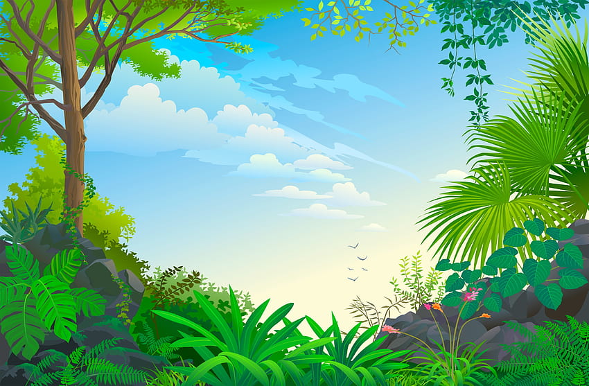 : światło słoneczne, kraj, las, niebo, gałąź, Zielony, wektor, dżungla, Karaiby, Las deszczowy, drzewo, liść, kwiat, flora, wegetacja, kraje tropikalne, plantacja, siedlisko, środowisko naturalne, komputer, botanika, funkcja geograficzne, ekosystem, las wektor Tapeta HD