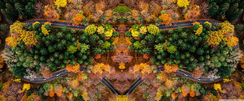 Autumn Symetric Drone Shot Ultra Backgrounds for : & UltraWide & Laptop : Multi Display, Dual Monitor : Tablet : Smartphone, drone shots HD wallpaper