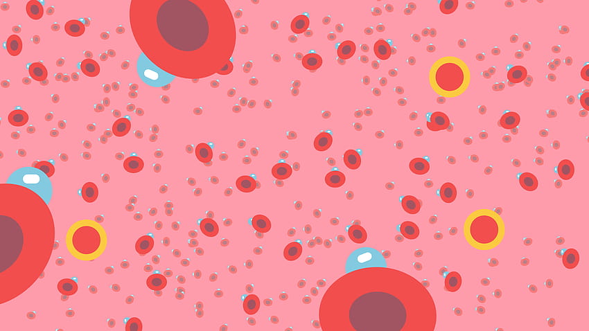 Immunity, immune system HD wallpaper