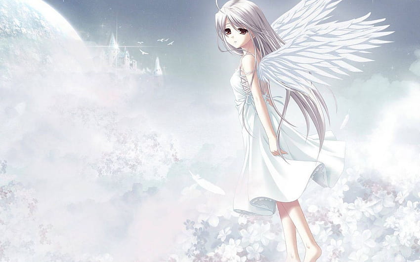 Anime angel cute popular HD phone wallpaper  Peakpx